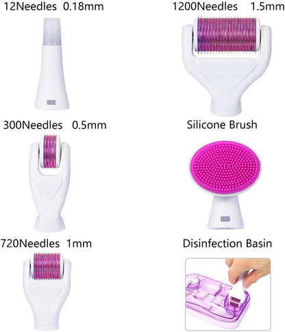 6-in-1 Derma Roller System