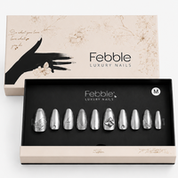 Febble - Silver Nocturne Chrome Nails