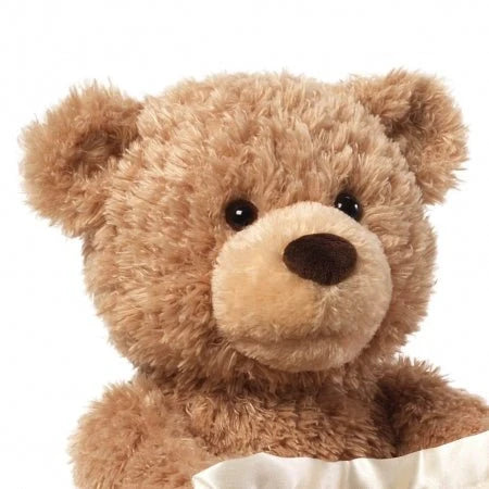 Interactive Animated Peekaboo Teddy Bear