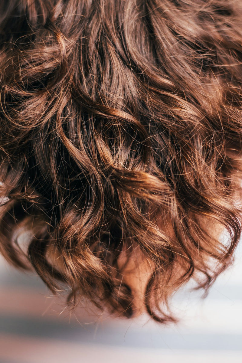 Hair Collection banner